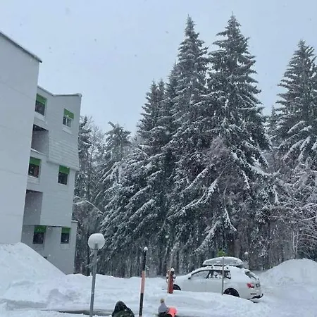 Predigtstuhl Bayrische Wald Ferienwohnung Daire Sankt Englmar