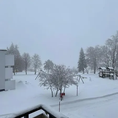 Predigtstuhl Bayrische Wald Ferienwohnung